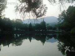 -嵖岈山风景区