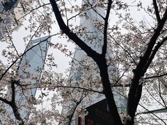 -上海中心大厦