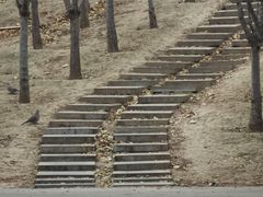 -河北省园博园