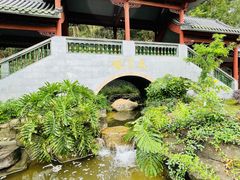 -广州神农草堂中医药博物馆