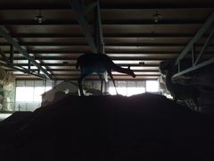 -游龙石文化科普馆