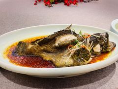 清蒸石斑鱼-鹊华居·地道鲁菜·海鲜·融合味(大明湖店)