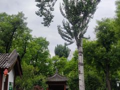 -莲湖公园