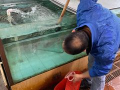 -寻味顺德·南记酒家·传统顺德菜·鱼生(广源路店)