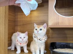 -宝龙城(杭州滨江店)