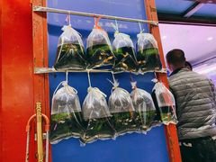 -华声天桥民俗文化园