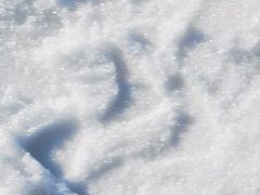 -绿野森林乐园冰雪季