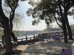 -鲁镇