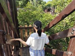 -桐乡凤凰湖