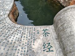 -南湾湖