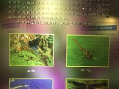 -上海昆虫博物馆