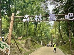 -洛阳白云山景区