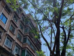 -杨记山珍鸡煲菌汤锅