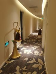 -东英经典SKIN&SPA