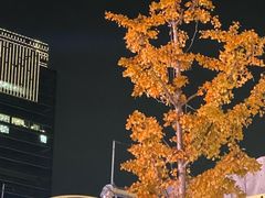 -大馥·炭火烧肉酒场(莘庄莘福坊店)