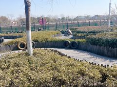 -季高兔窝窝亲子园(上海薰衣草公园店)