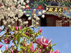 -护国法轮寺