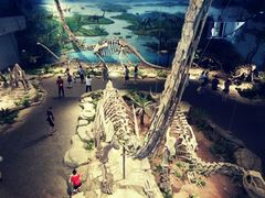 -自贡恐龙博物馆