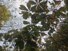 -敬亭山风景名胜区