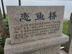 -渤公岛生态公园