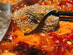 -谭鸭血老火锅(慈云寺店)