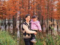 -白鹭湾湿地公园