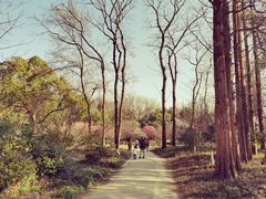 -杭州植物园