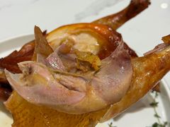 -欢乐海岸美食联盟