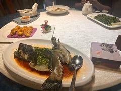 -梧桐庄园