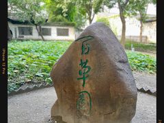 -绍兴鲁迅故里·沈园景区