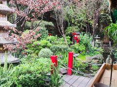 -翠湖六号全日制西餐厅(翠湖宾馆店)