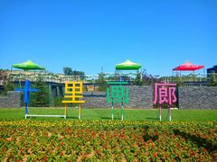 -莲花山花海