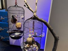 -悦融·京鲁菜·露台花园(安定门店)