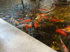-衡山汇·高级粤菜(霄云路店)