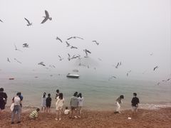 -棒棰岛宾馆景区