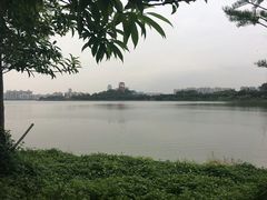 -东莞植物园