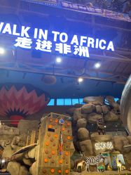 -卡通尼·Safari非洲探索乐园·生日会(金桥国际商业广场店)