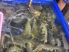 -拉威海鲜市场