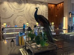 -西双版纳融创皇冠假日度假酒店