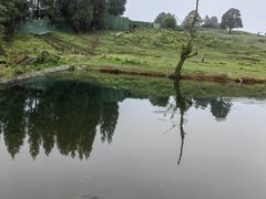 -黑竹沟新场牛肉火锅