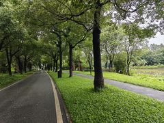 -海珠湖公园