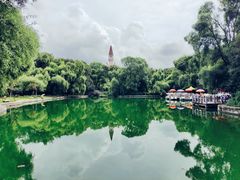 -黑龙江省森林植物园