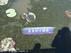 -天津东丽湖风景区