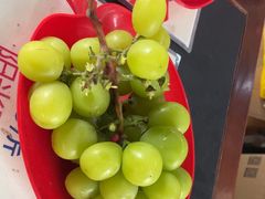 -马陆小张葡萄园农家乐