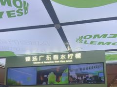 -Yes Lemon就是柠·手打柠檬茶(苏州中心一店)