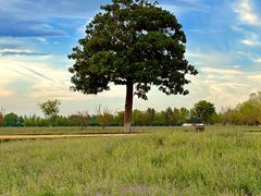 -汉长安城未央宫国家考古遗址公园
