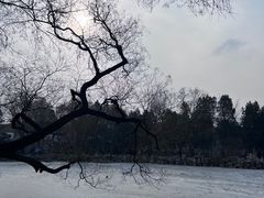 -莲池书院博物馆