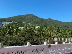 -小海豚•老字号海鲜餐厅(天涯店)