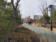 -迎泽公园