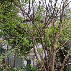 点击看大图 -莲生母婴月子中心(清水河公园店)